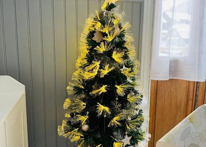 Situé Au Cœur Du Village Du Mont-dore * Mont-Dore